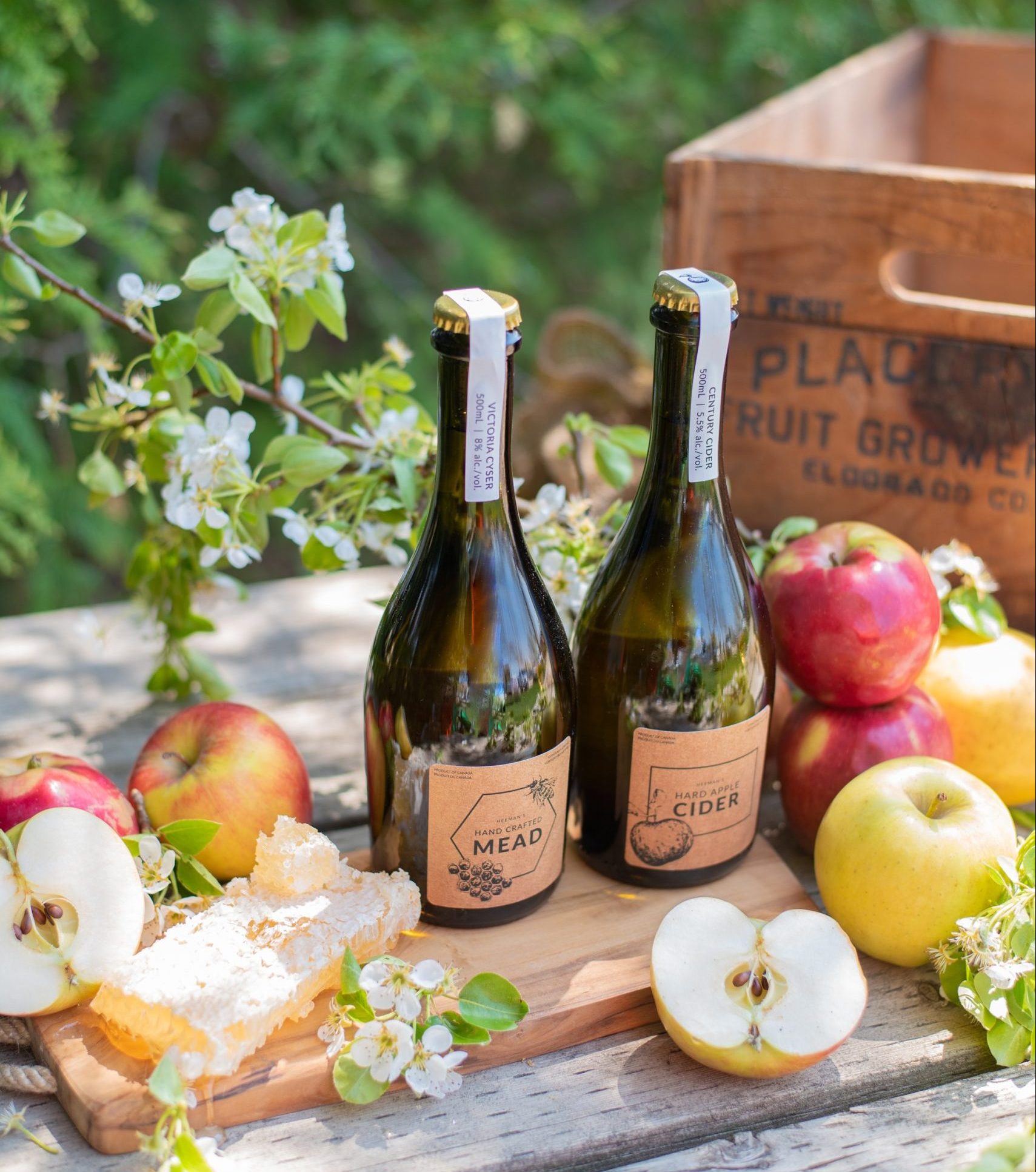Private Signature Tasting Tour (Cybulski)