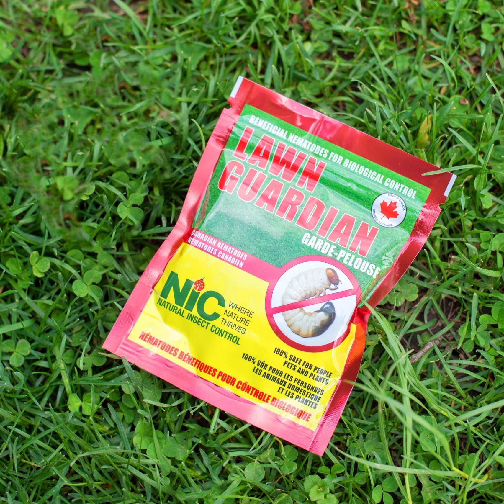 Fall Nematodes Pre-Order